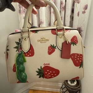 Mini Rowan Strawberry coach bag